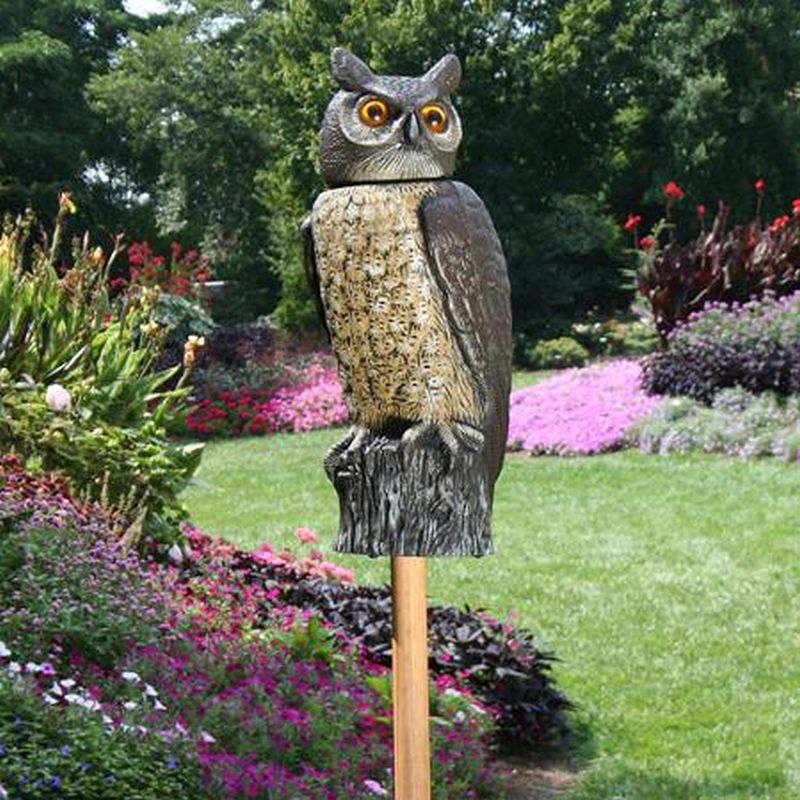 Solar Motion Detecting Rotating-Head Owl Scarecrow